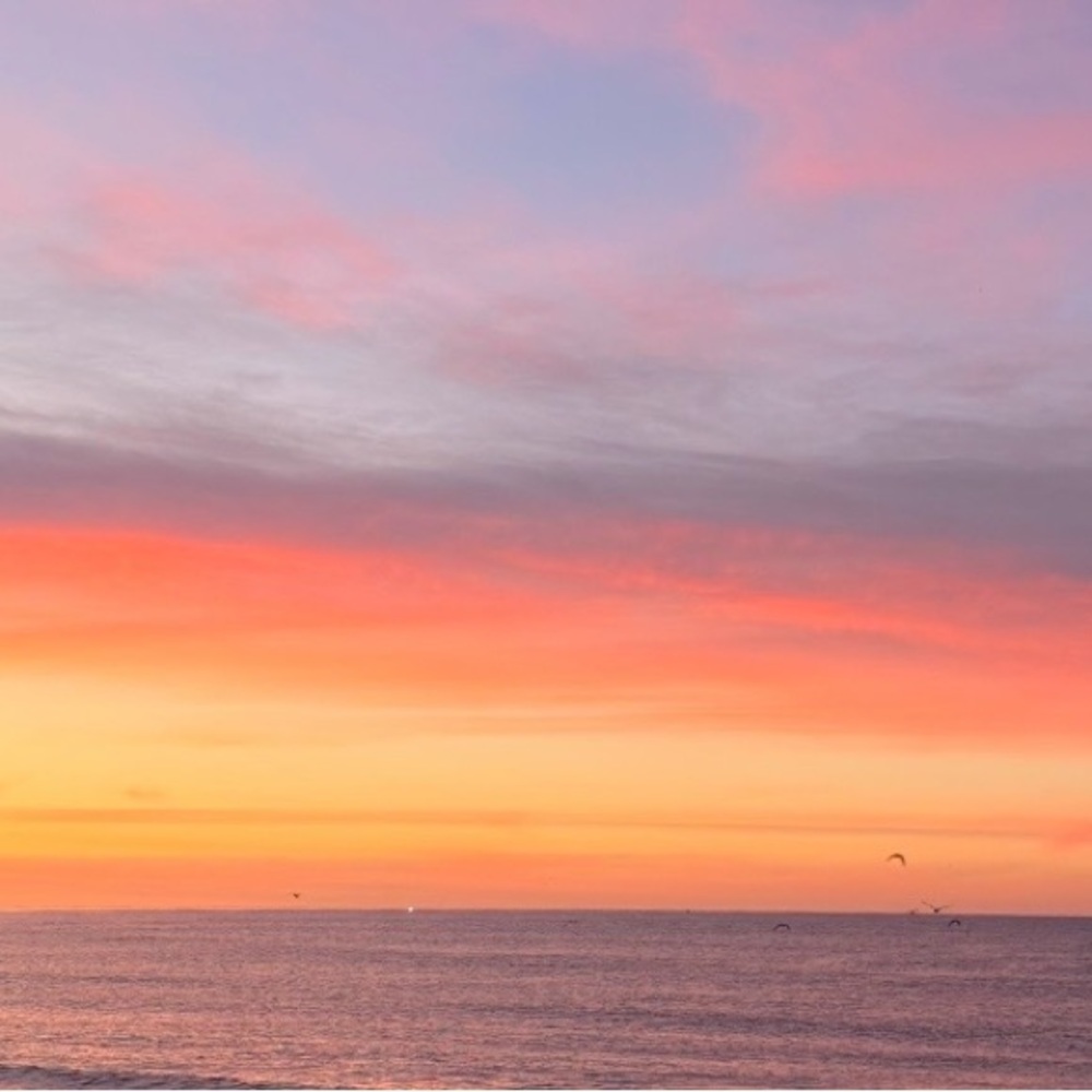 Meet your Posher, Gabriela